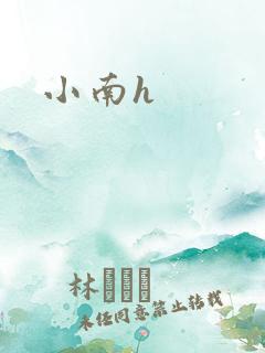 小南h