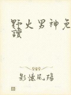 野火男神免费阅读