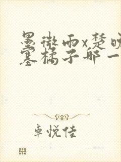 墨微雨x楚晚宁塞橘子哪一章