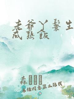 老爷丫鬟生米煮成熟饭