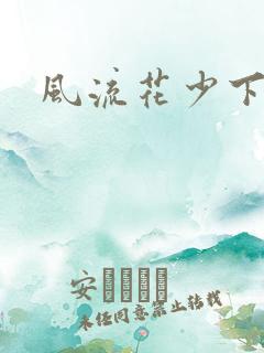 风流花少下载