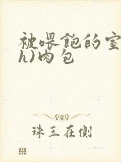 被喂饱的室友(h)肉包