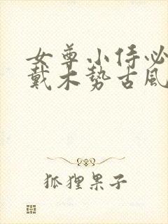 女尊小侍必须佩戴木势古风