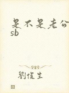 是不是老公的小sb