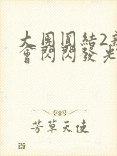 大团圆结2亲情会闪闪发光亲情会