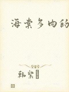 海棠多肉的文笔