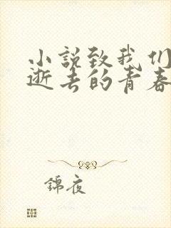 小说致我们终将逝去的青春