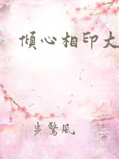 倾心相印大结局
