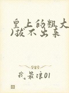 皇上的粗大(h)拔不出来