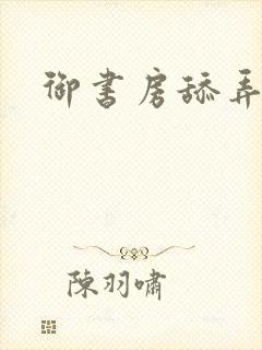 御书房舔弄花心