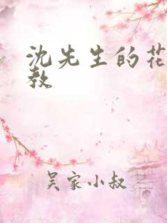 沈先生的花式调教