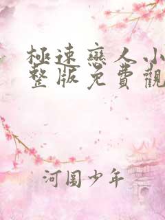 极速恋人小说完整版免费观看