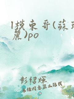 l模东哥(苏玛丽)po