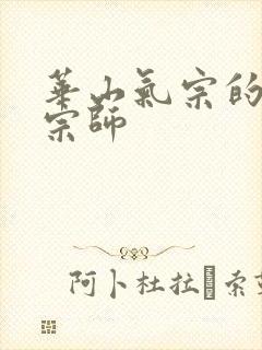 华山气宗的形意宗师