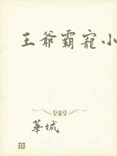 王爷霸宠小甜妻