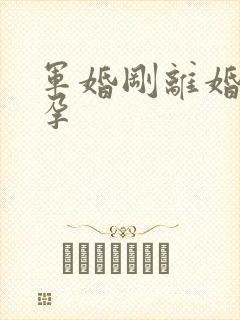 军婚刚离婚就怀孕