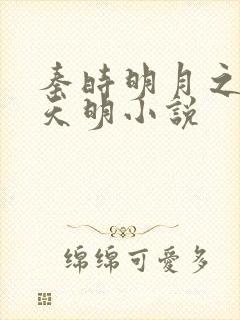 秦时明月之夜尽天明小说