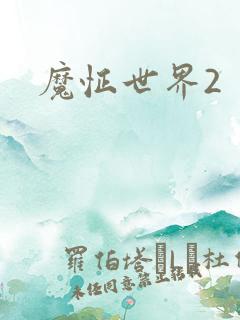 魔怔世界2
