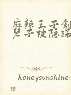 麻辣王子创始人儿子被隐瞒家产