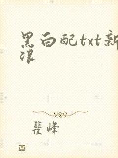 黑白配txt新浪