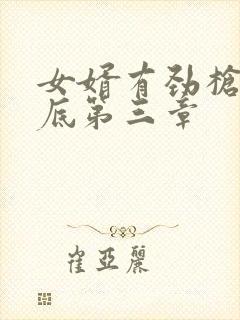 女婿有劲枪枪到底第三章