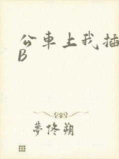 公车上我插上骚B