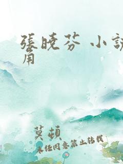 张晓芬 小说主角