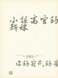 小说高官的暗夜新娘