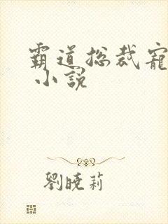 霸道总裁宠上天 小说