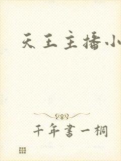 天王主播小说