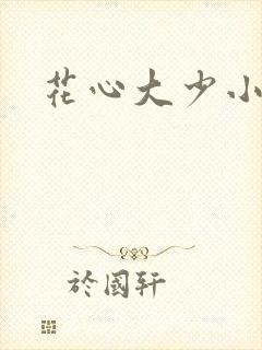 花心大少小说