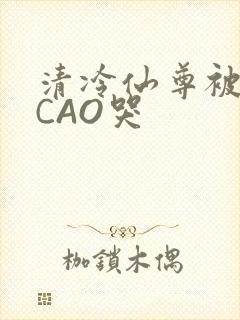 清冷仙尊被强制CAO哭