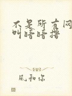 不是所有网站都叫暗暗撸