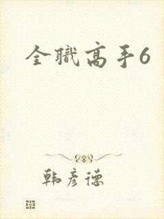 全职高手6