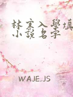 林寒入学填未婚小说名字