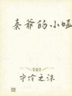 秦爷的小哑妻