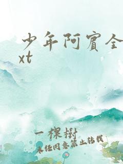 少年阿宾全集txt