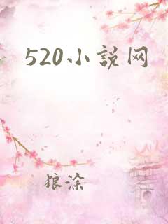 520小说网