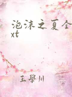 泡沫之夏全集txt