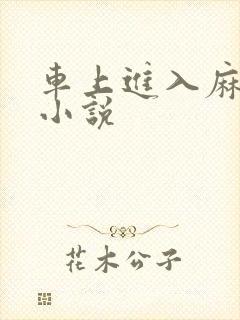 车上进入麻麻的小说