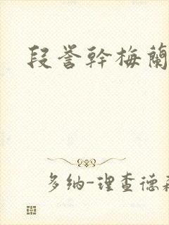 段誉干梅兰竹菊