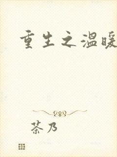 重生之温暖