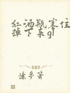 红酒瓶塞住不准掉下来gl