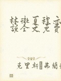 林微夏程亦风小说全文免费