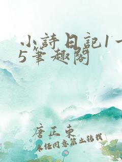 小诗日记1一15笔趣阁