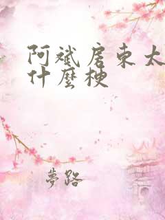 阿斌房东太太是什么梗