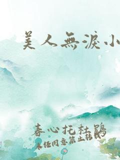 美人无泪小说