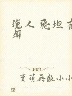 猎人 飞坦有洁癖