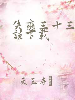 失恋三十三天小说下载