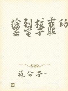 捡到校霸的遥控器电子版